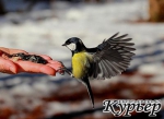 Будем добрее!