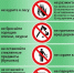 Правила пожарной безопасности в лесу - Администрация г.о. Егорьевск