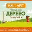11 сентября 2021 года Егорьевск присоединится к экологической акции «Наш лес. Посади свое дерево» - Администрация г.о. Егорьевск