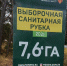 В Егорьевском лесничестве проведены выборочные санитарные рубки - Администрация г.о. Егорьевск