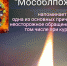Непотушенная сигарета - опасность для жизни и здоровья граждан и их имущества - Администрация г.о. Егорьевск