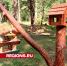 Егорьевские лесничие создают новую зону отдыха на Жуковой горе - Regions.Ru