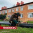 Более 7 километров труб заменят в егорьевском поселке Рязановский - Regions.Ru