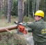 В Егорьевске лесную тропу очистили просьбе жителей - Regions.Ru