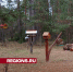 «Город птиц» появился в лесу под Егорьевском - Regions.Ru