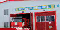 Егорьевских спасателей отметили в связи с профессиональным праздником - Regions.Ru