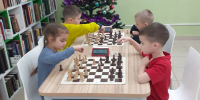 «Золото» и «бронзу» взяли егорьевцы на шахматном турнире в библиотеке - Regions.Ru