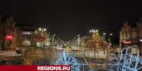 Егорьевцы и гости города могут сделать новогодние фото с каретой для золушки - Regions.Ru