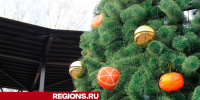 Егорьевские зимние парки вошли в число лучших в Подмосковье - Regions.Ru