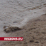 Экоактивист из Егорьевска будет спасать Черное море от мазута - Regions.Ru
