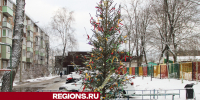 Елка-карусель появилась в одном из дворов Егорьевска - Regions.Ru