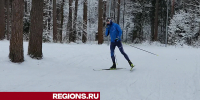 Две лыжные трассы открыты для спортсменов и любителей в Егорьевске - Regions.Ru