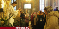 Сотни егорьевцев встретили Рождество Христово в храме Александра Невского - Regions.Ru