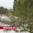 Егорьевцы еще могут успеть поделиться фотографиями лесных пейзажей - Regions.Ru