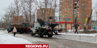 Местные коммунальщики объяснили, зачем опиливают деревья зимой - Regions.Ru