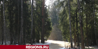 Апрельское тепло пообещали егорьевцам уже в первую неделю марта - Regions.Ru