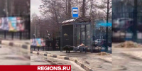 Егорьевский спортсмен выбрал лавочку на остановке в качестве снаряда - Regions.Ru