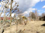Еще чуть-чуть и распуститься листва. Фото: REGIONS/Василий Тремасов