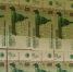 Егорьевец продает коллекцию редких пятирублевых купюр - Regions.Ru