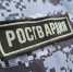 Росгвардейцы задержали подозреваемого в угрозе убийством в Подмосковье - Regions.Ru