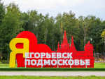 В Подмосковье рассказали о развитии Егорьевска