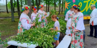 Праздник Святой Троицы встретили в Егорьевске - Regions.Ru