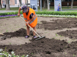 Петунии и агератумы украсят Соборную площадь Егорьевска