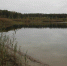 Озеро Комсомольское очистят в Егорьевске - Regions.Ru