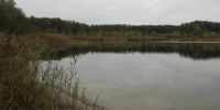 Озеро Комсомольское очистят в Егорьевске - Regions.Ru