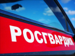 Росгвардейцы в Подмосковье задержали находившегося в федеральном розыске мужчину