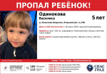 В Колычево-Боярском ведутся поиски пятилетней пропавшей девочки