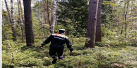В Егорьевске спасатели нашли и вывели из леса заблудившуюся женщину - Regions.Ru