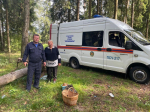 Спасатели разыскали пенсионерку, заблудившуюся в лесу в Егорьевске