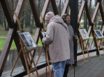 Волонтеры раздали ленточки триколора в главном парке Егорьевска