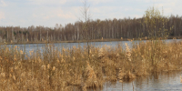 Пруд в Русаках могут очистить в 2026 году - Regions.Ru