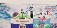 Егорьевские тэквондисты завоевали более 20 медалей на региональном фестивале - Regions.Ru