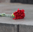 Егорьевцы станут участниками акции в честь контрнаступления под Москвой - Regions.Ru