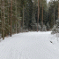 Для новичков и профи: где можно покататься на лыжах в Егорьевске - Regions.Ru